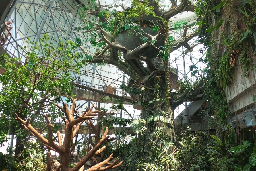 The Green Planet